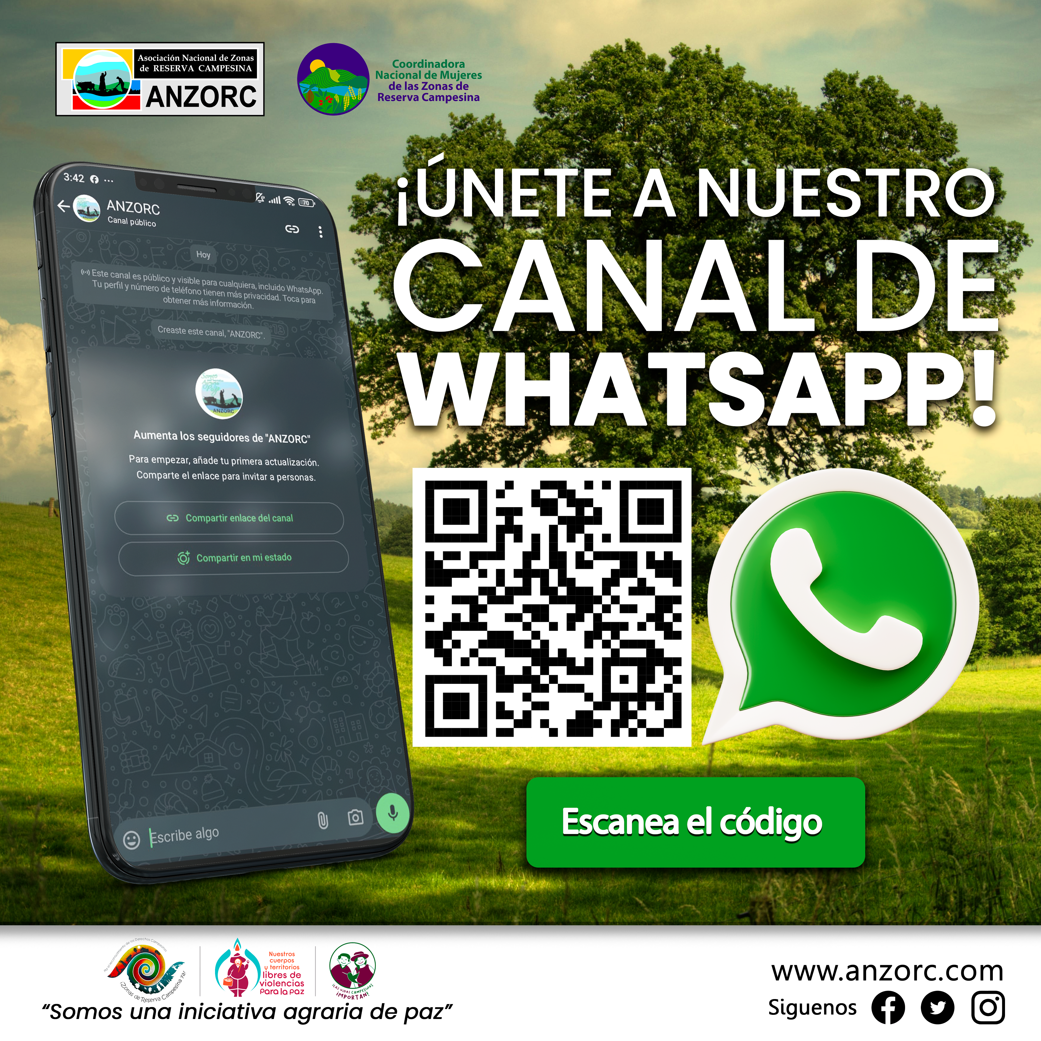 Canal de WhatsApp